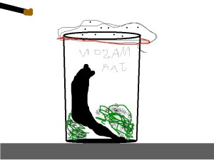 slug in jar sleeping