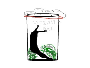 slug in jar